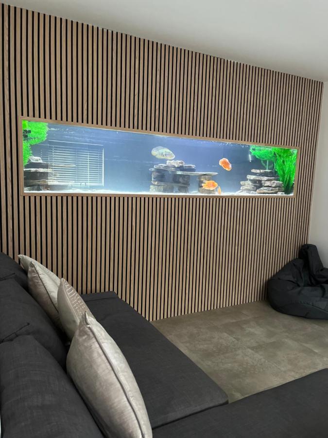Terfyn Hall Aquarium Apartment 1 Престатин Екстериор снимка