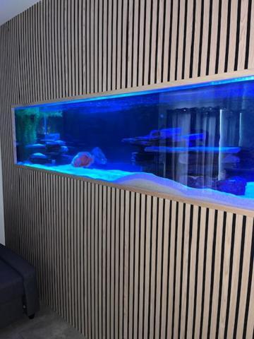 Terfyn Hall Aquarium Apartment 1 Престатин Екстериор снимка